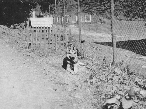 Foto 10